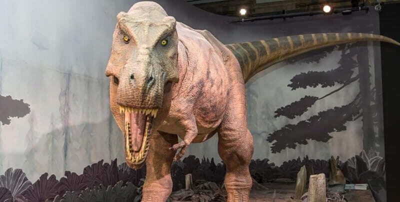 London: Natural History Museum + Guided Tour+ Priority Entry - The Experience in Detail