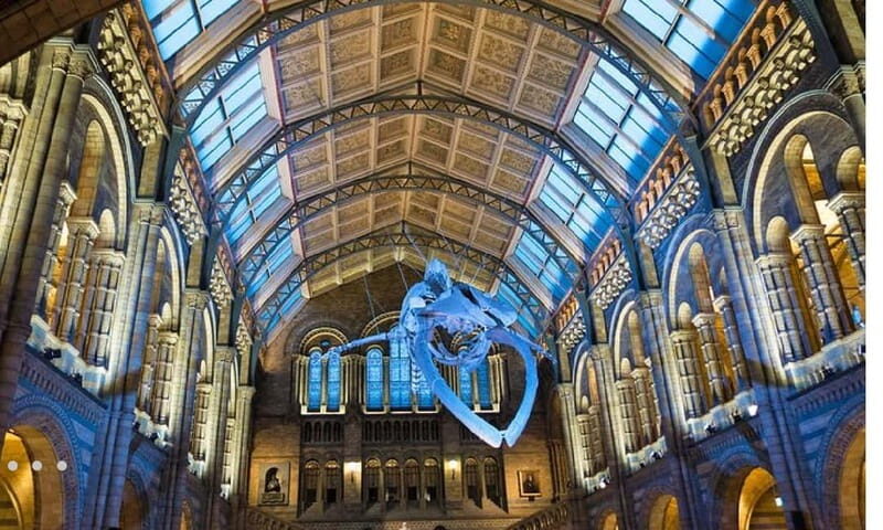 London: Natural History Museum + Guided Tour+ Priority Entry - Is This Tour Worth It?