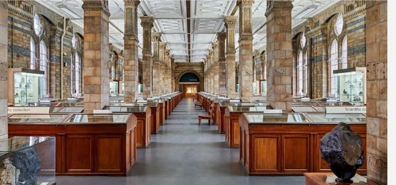 London: Natural History Museum + Guided Tour+ Priority Entry - Final Thoughts