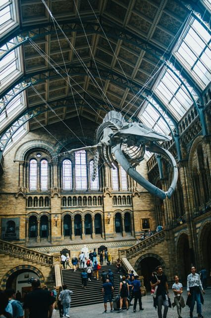 London: Natural History Museum Guided Tour - Key Points