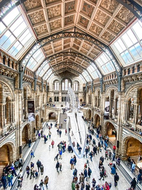 London: Natural History Museum Guided Tour - What You Can Expect From This Guided Tour