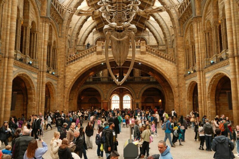 London: Natural History Museum Guided Tour - Meeting Sophie the Stegosaurus and Other Dinosaurs