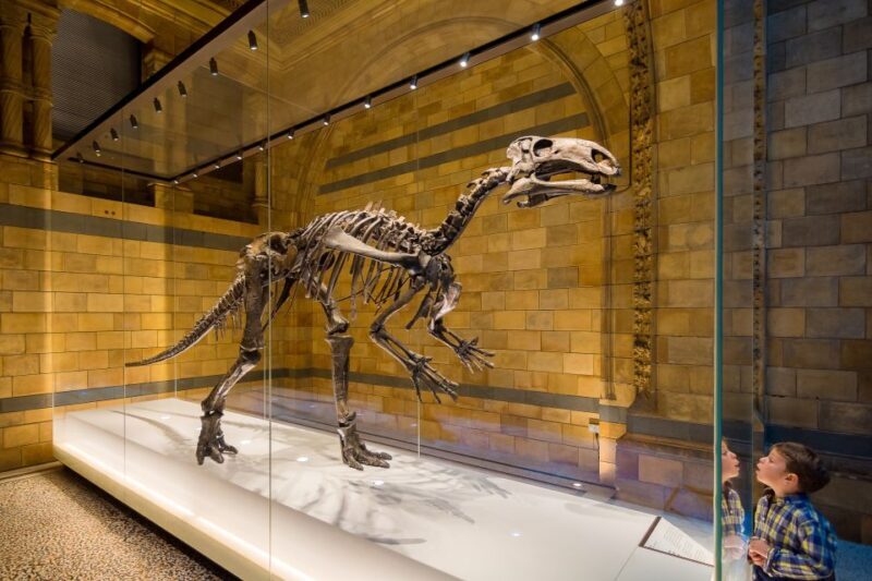 London: Natural History Museum Private Guided Family Tour - Who Would Enjoy This Tour?