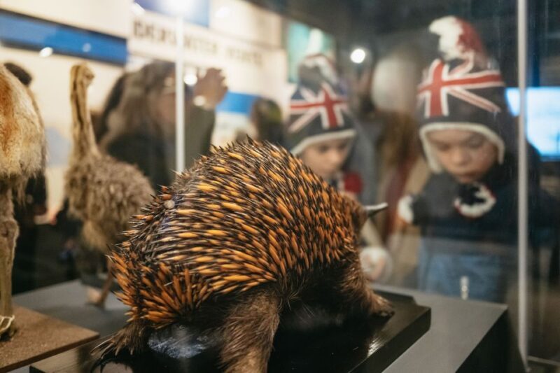 London: Natural History Museum Private Guided Family Tour - Final Thoughts