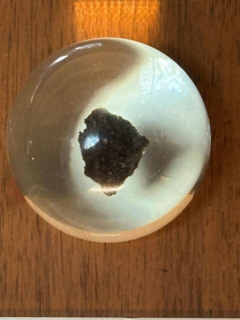 London: Natural History Museum Private Guided Tour - Is It Worth the Price?