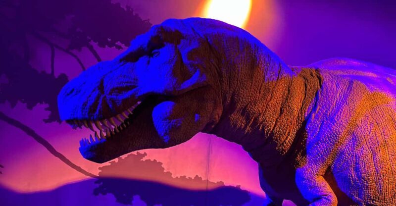 London: Natural History Museum Private Guided Tour - Who Should Consider This Tour?