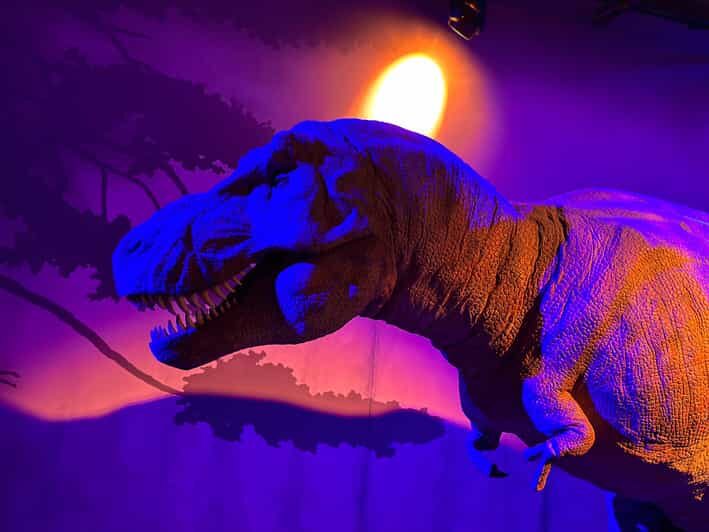 London: Natural History Museum Private Guided Tour - The Sum Up
