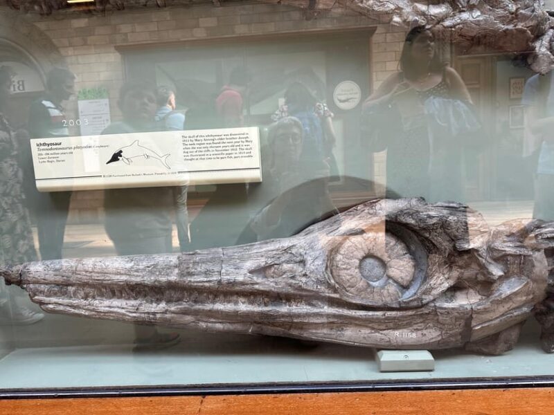 London: Natural History Museum Private Guided Tour - FAQs