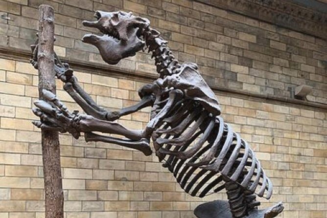 London Natural History Museum Private Tour for Kids & Families - Dinosaur & Jurassic Exhibits