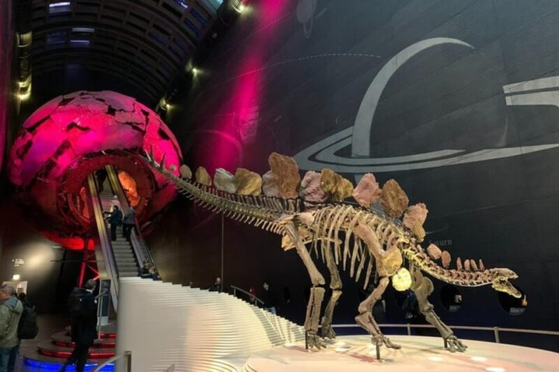London: Natural History Museum Private Tour & Skip the line - The Experience: What It Feels Like