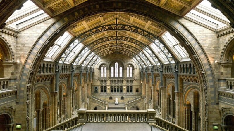 London: Natural History Museum Tour - The Sum Up