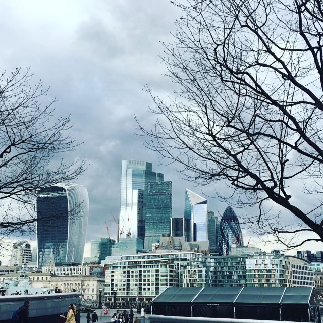 London: Private Intro Walk with a Local Guide - A Genuine Look at the London: Private Intro Walk