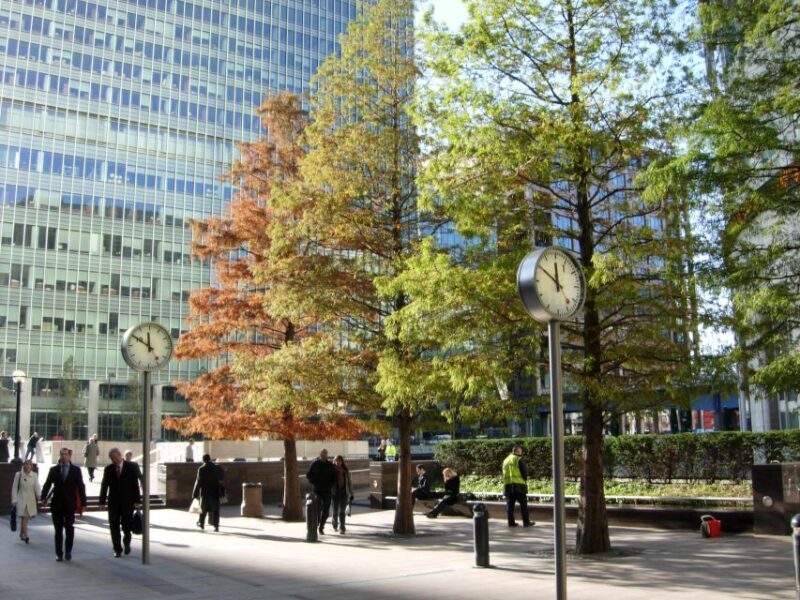 London: Private Walking Tour to Best Christmas Sites - Who Should Consider This Tour