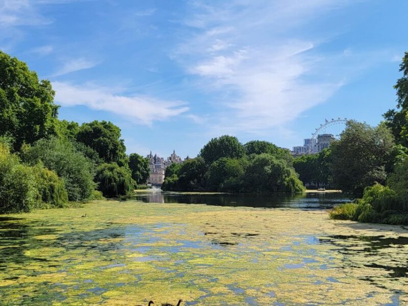 London: Royal Walking Tour and Buckingham Palace Audio Tour - FAQ