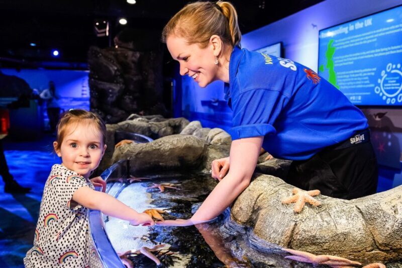 London: SEA LIFE Entry Ticket - What You Can Expect from Your Visit to SEA LIFE London