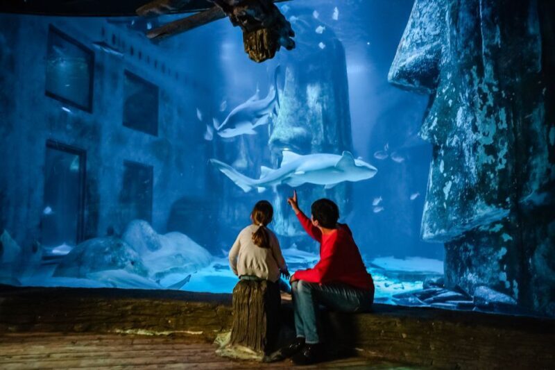 London: SEA LIFE Entry Ticket - Final Thoughts: Who Should Consider Visiting SEA LIFE London