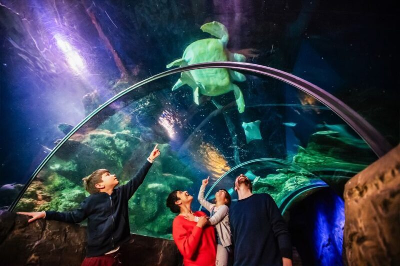 London: SEA LIFE Entry Ticket - FAQ