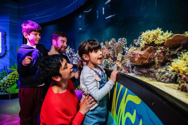 London: SEA LIFE Entry Ticket - Your walk through the aquarium: how the zones feel in real life