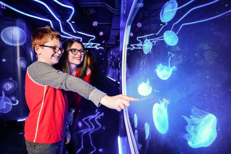 London: SEA LIFE Entry Ticket - Sharks beneath your feet: the suspended glass platform moment