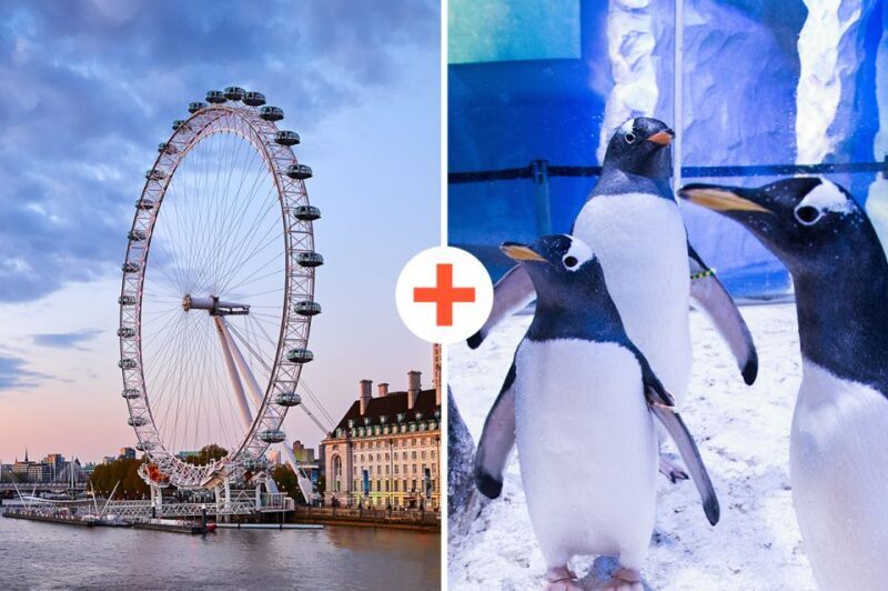 London: SEA LIFE & London Eye Combo Ticket - What to Expect from the Experience