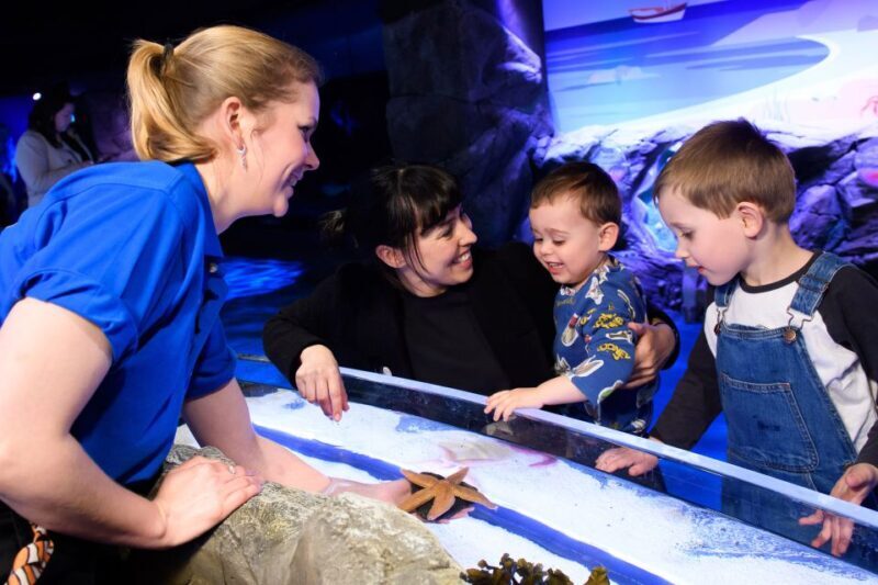 London: SEA LIFE & London Eye Combo Ticket - Who Should Consider This Experience?