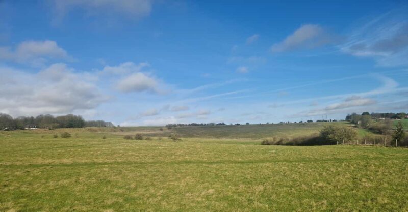 London: Stonehenge and Woodhenge Private Black Cab Tour - What to Expect On the Day