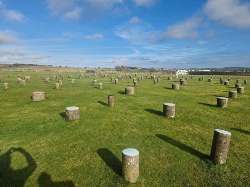 London: Stonehenge and Woodhenge Private Black Cab Tour - Who Will Love This Tour?