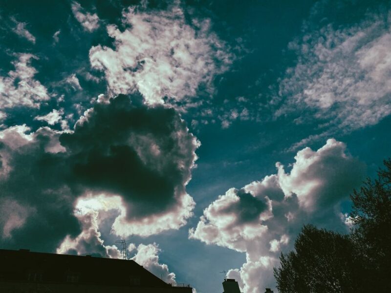 London: The Impressionists, Monet, Turner & Private Gallery - The Practical Side: Group Size, Language, and Booking