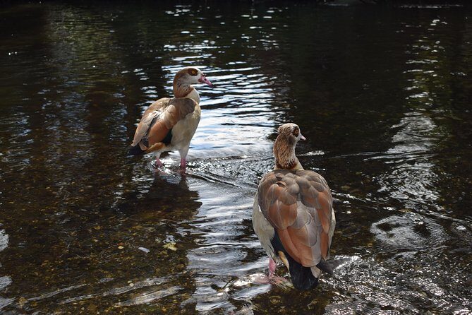 London's Best Kept Secret Bike Tour - Final Thoughts