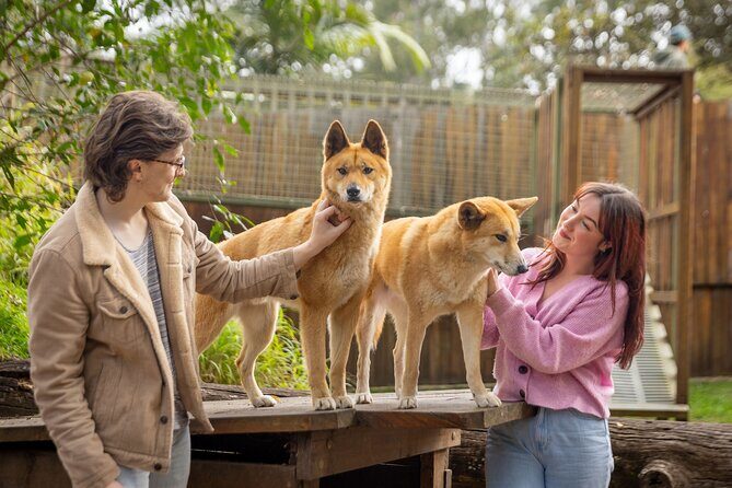 Lone Pine Koala Sanctuary Day Pass - The Value of Your Ticket