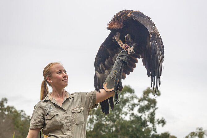 Lone Pine Koala Sanctuary Day Pass - Final Thoughts: Is It Worth It?