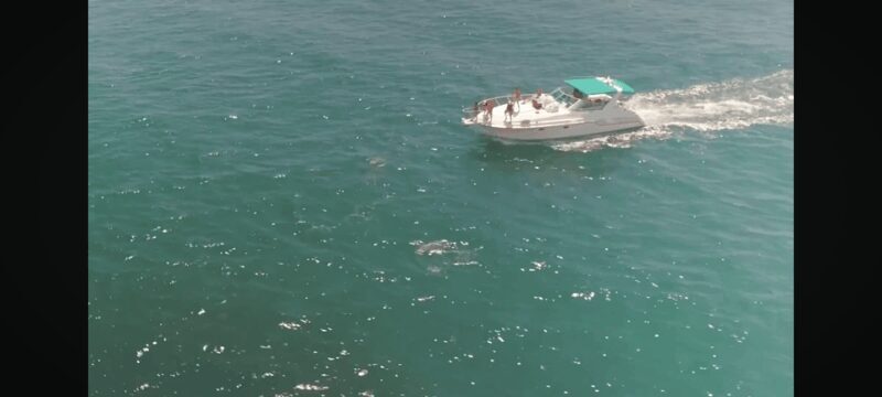 Long Beach: 3hr Private Yacht Trip (1 ticket covers 1-6 ppl) - Final Thoughts