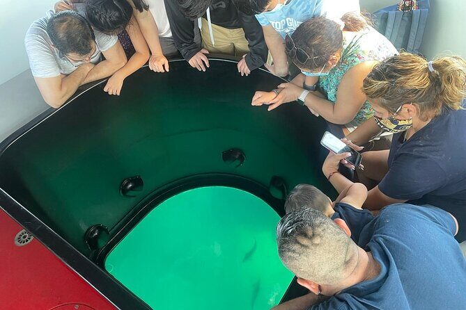 Long Beach Glass Bottom Boat Eco-Tour - The Experience in Detail