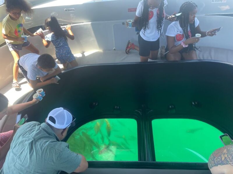 Long Beach: Glass Bottom Boat Harbor Ecotour - How Good Is the Value?