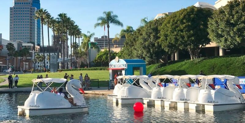 Long Beach: Swan Boat Rental at Rainbow Lagoon - Key Points