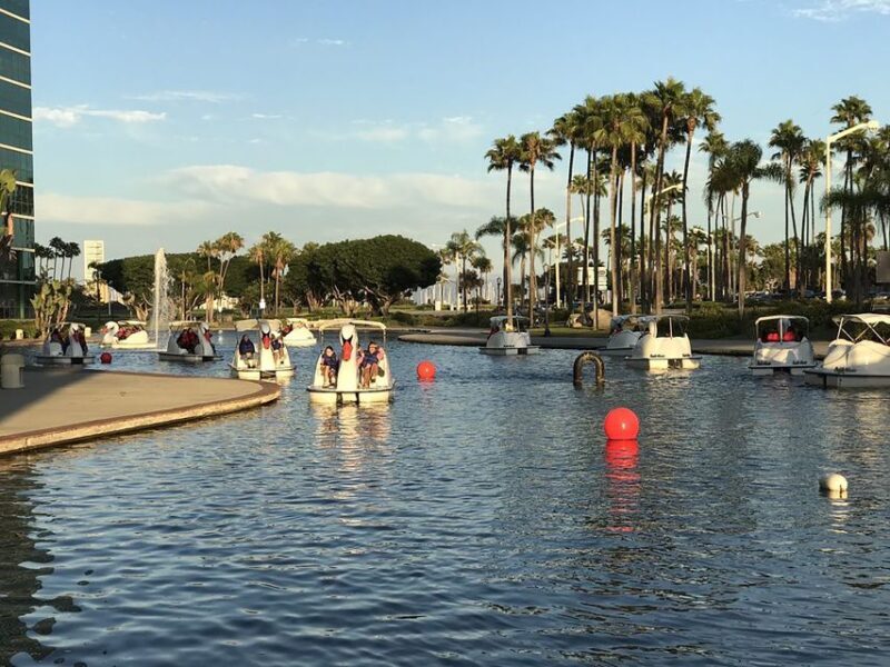 Long Beach: Swan Boat Rental at Rainbow Lagoon - Authentic Traveler Insights