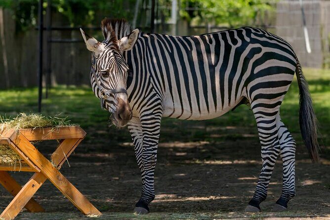 Long Island Farm & Wildplay Jones Beach Tour | Kids 50% Off - The Itinerary Breakdown