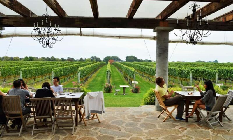 Long Island Winery Tour - An Honest Look at the Long Island Winery Tour
