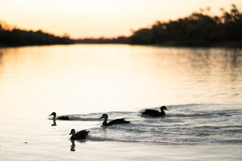 Longreach: Drover's Sunset Cruise & Outback Dinner & Show - The Experience at a Glance