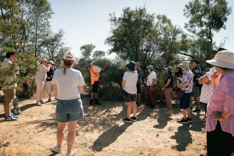 Longreach: Great Darr River Rail Run Outback Rail Adventure - The Real Traveler Perspective