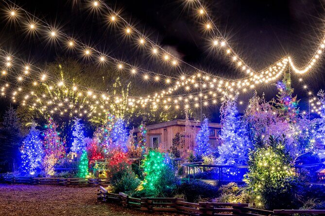 Longwood Gardens from Philadelphia Spring Flowers Pop Up Tour - The Itinerary in Detail