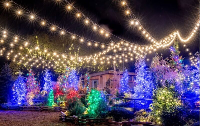 Longwood Gardens Holiday Lights Tour from Philadelphia - The Value of This Tour