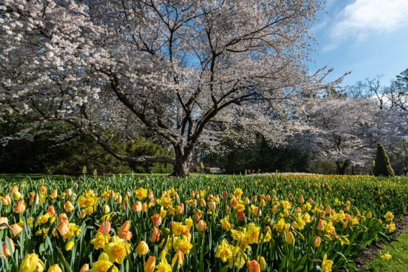 Longwood Gardens Holiday Lights Tour from Philadelphia - FAQ