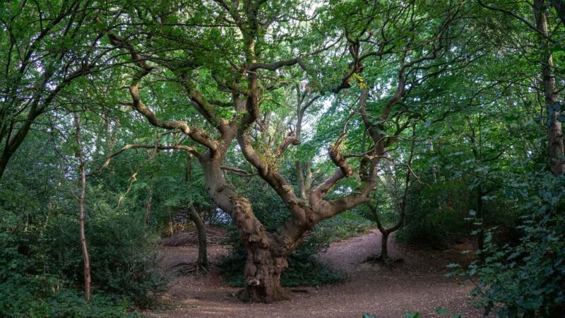 Lord of the Rings Cotswolds Tour: The Journey Begins - Frequently Asked Questions