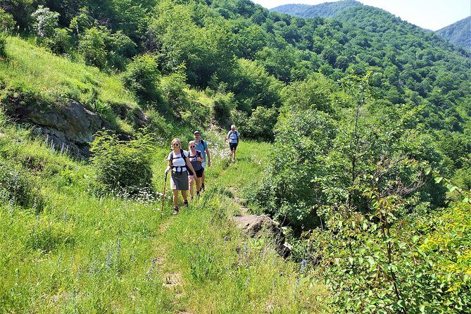 Lori Canyon Vacations - Who Should Consider This Tour?