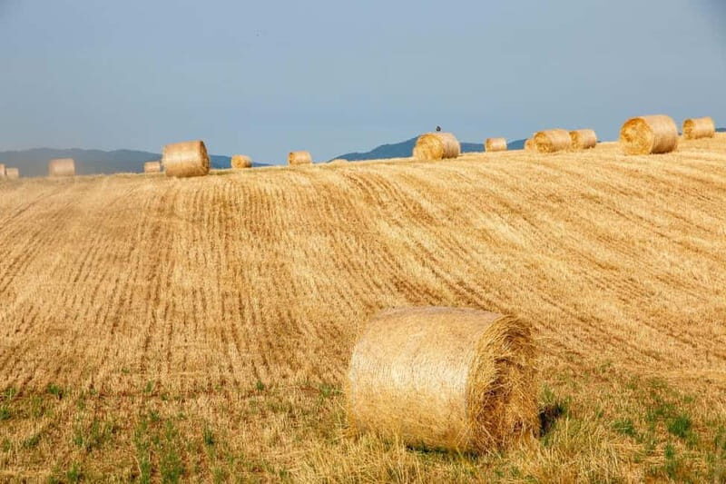 Lorica: rent an e-bike - FAQs