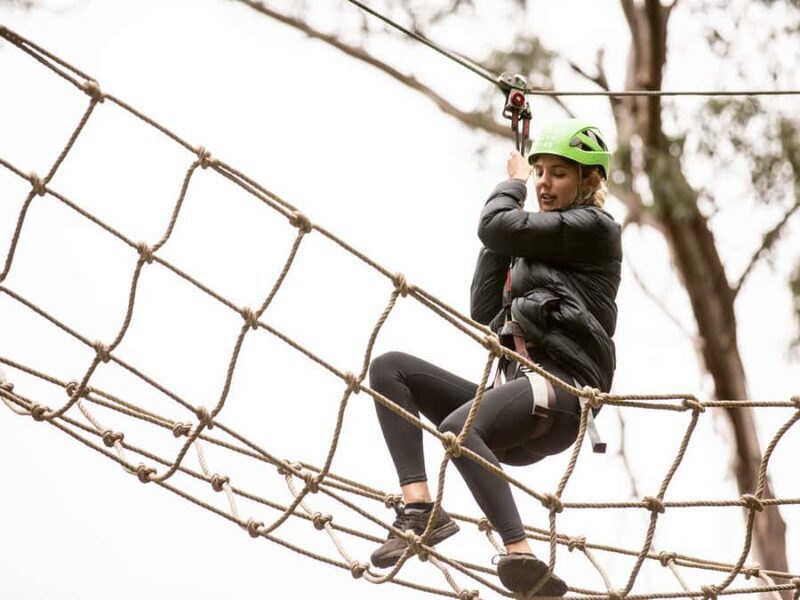 Lorne: Live Wire Park Super Circuit Ticket - An Adventure in the Trees: What to Expect