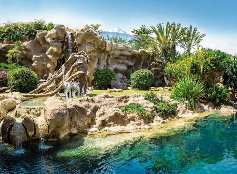 Loro Parque and Siam Park Combined Admission Tickets - Food and drinks: plan your budget, then enjoy the stops
