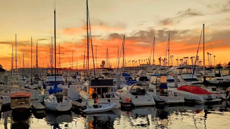 Los Angeles #1: Luxury Boat Cruise-Wine, Cheese & Sea Lions - Key Points