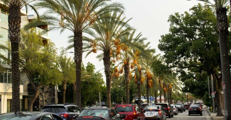 Los Angeles: 3-Hour Private Driving Tour w/ Local Guide - What You Can Expect from the Tour